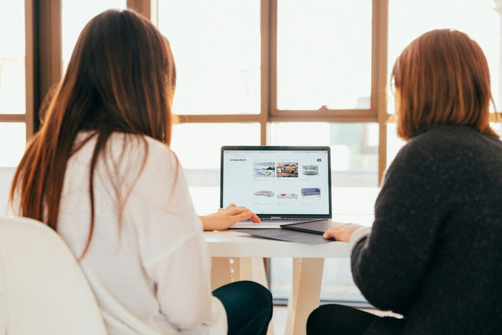 Website development